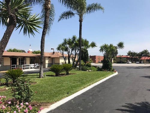 Palm Tropics Motel image 1