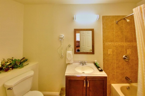 Palm Tropics Motel image 10