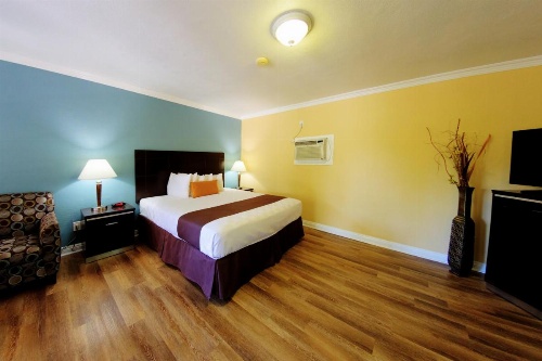 Palm Tropics Motel image 14