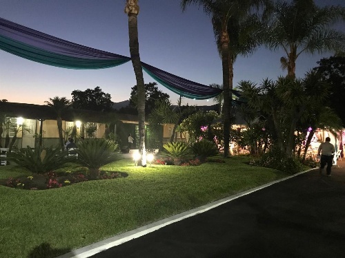 Palm Tropics Motel image 4