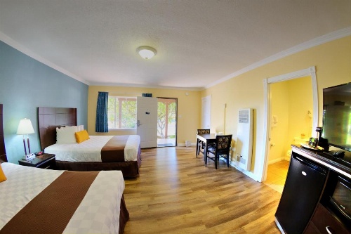 Palm Tropics Motel image 5