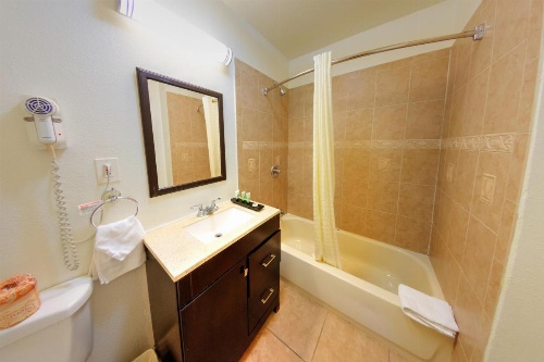 Palm Tropics Motel image 8